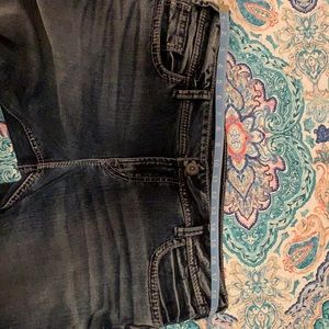 Silver Jeans Elyse Plus Straight leg